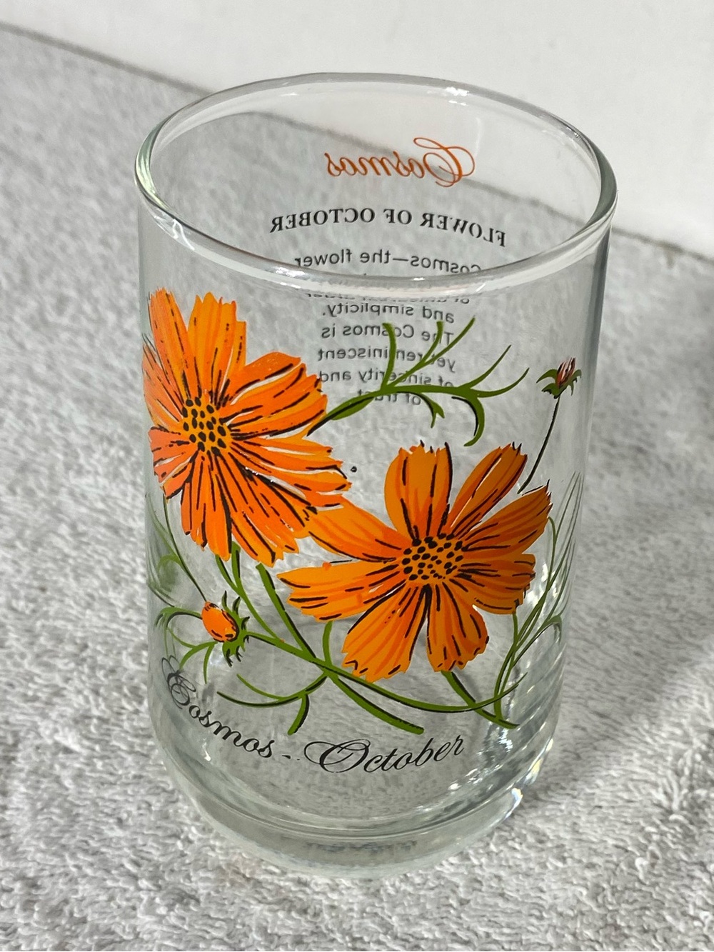 Vintage Brockway Glass October Cosmos Flower of the Month Tumbler